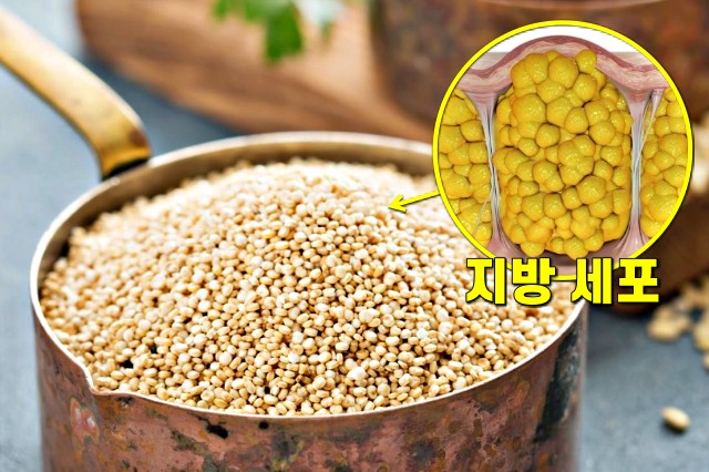 얼굴 셀룰라이트 없애는 음식, 퀴노아 효능, 셀룰라이트 없애는 법