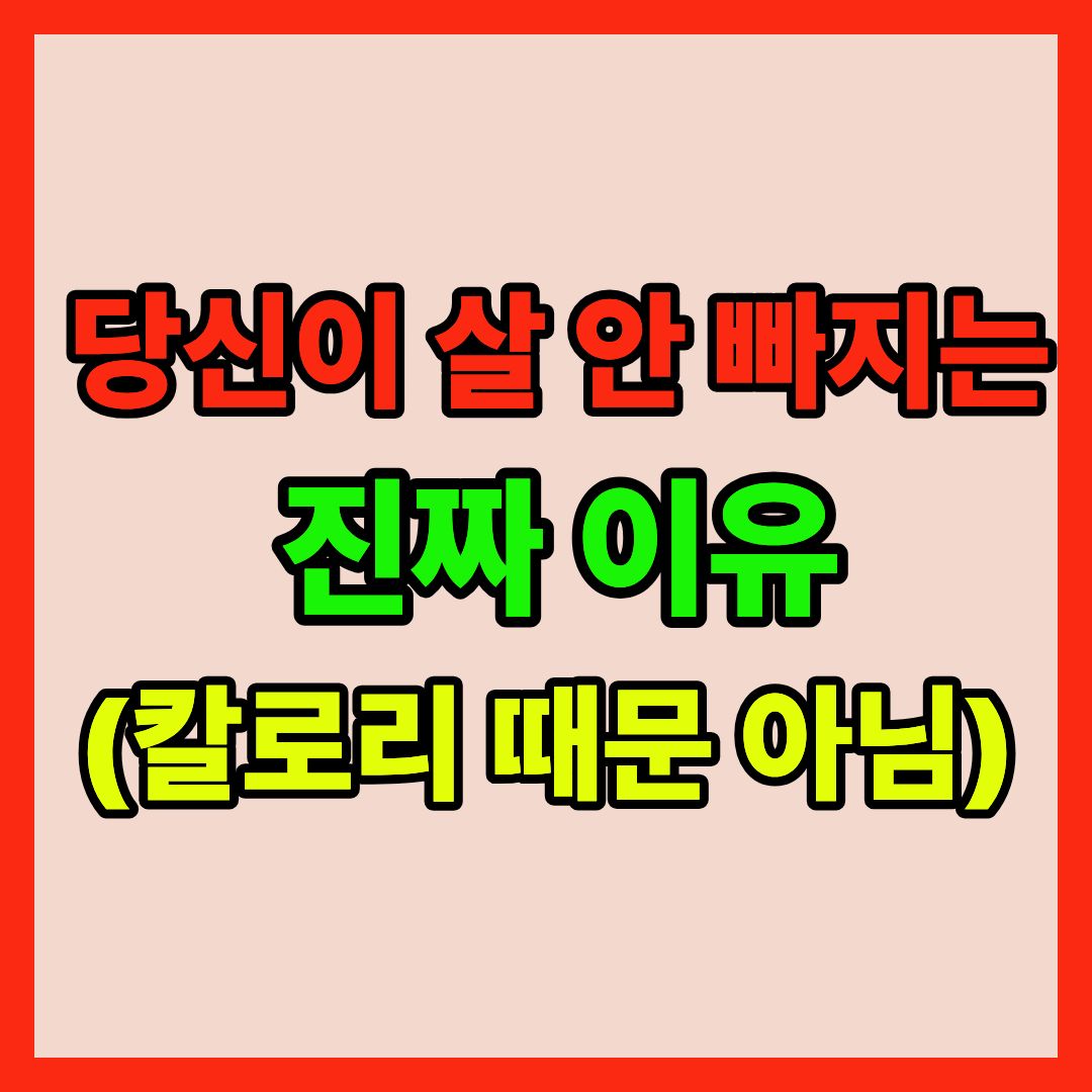 초가공식품