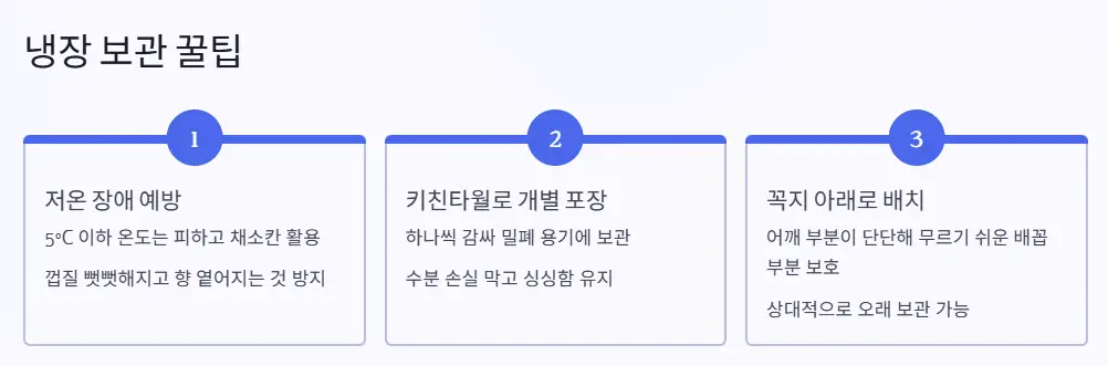 냉장 보관 꿀팁