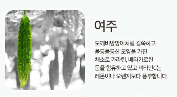 여주의 특성