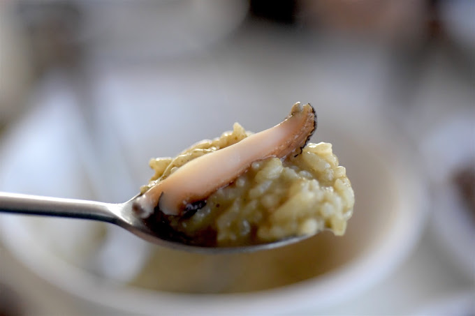 제주 성산 해산물 죽 '섭지해녀의집'