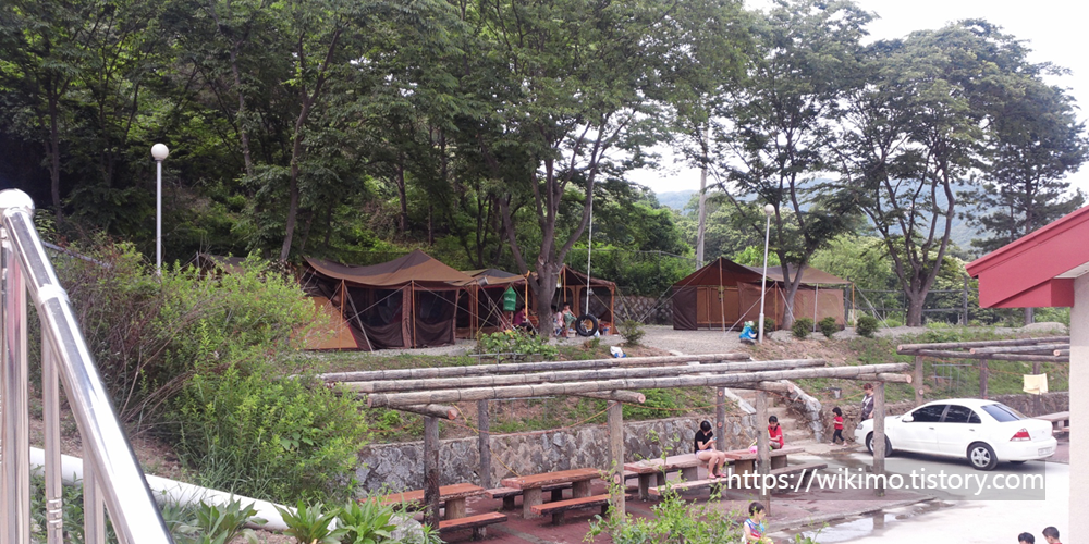 경기-파주-학교안-풍경캠핑장-예약-방법-애견-동반-가격-주소-시간-후기
