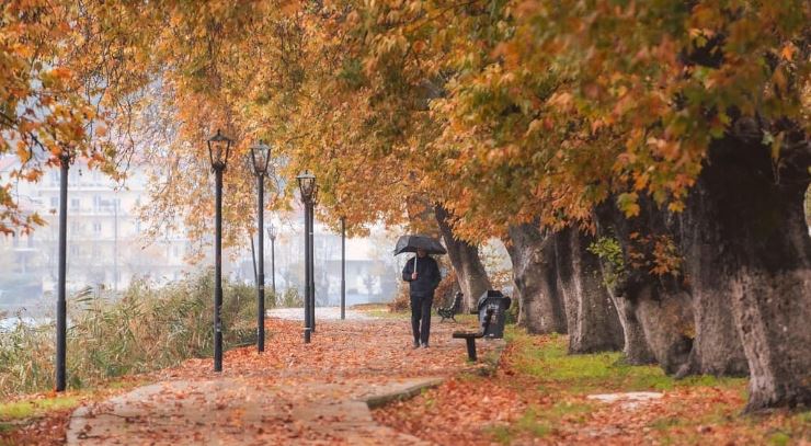 계절 변화와 장 건강 – 환절기 장내 미생물의 반응