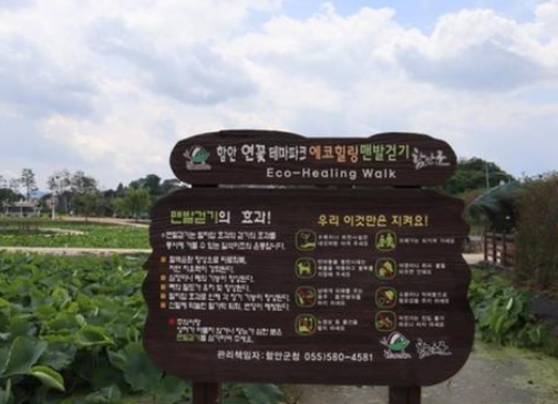 함안 아라연꽃테마공원