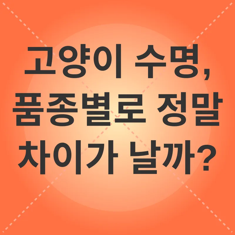 고양이 수명_1
