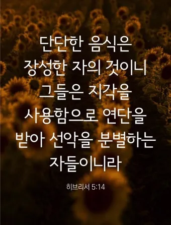 히브리서 5장 하느님의 성경말씀 묵상 해석_12