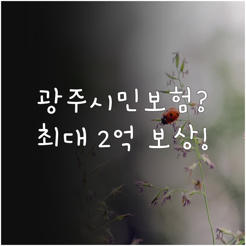 2025년 광주시민안전보험: 중복 보..