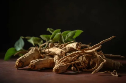 아슈와간다(Ashwagandha) 