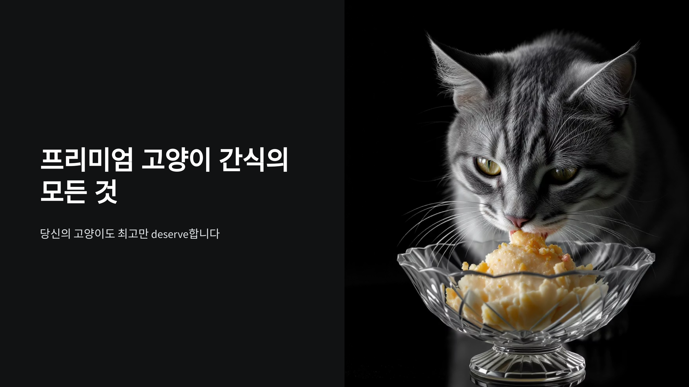 반려묘 입맛 사로잡는 럭셔리 간식