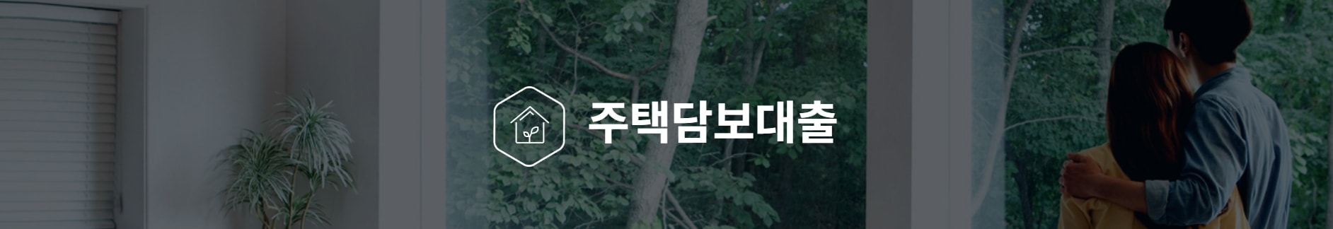 내집마련디딤돌대출이란