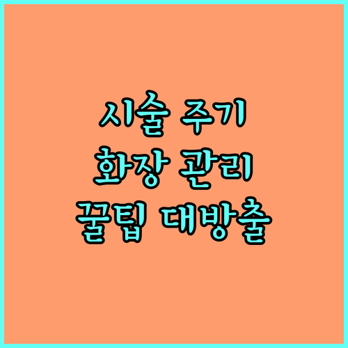리프팅 시술 주기별 화장 관리 노하우