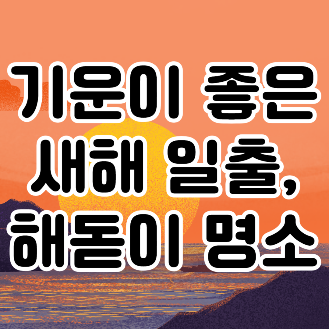 기운이 좋은 새해 일출 해돋이 명소