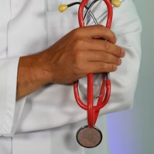 당귀 효능 부작용 뿌리 고르는법