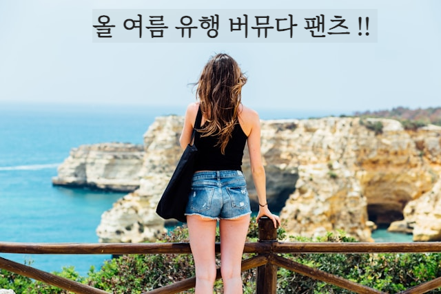 버뮤다팬츠 내돈내산 리뷰