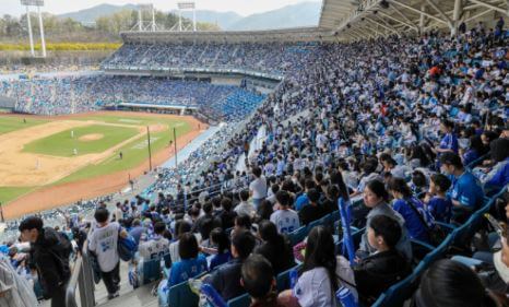 2025 프로야구 정규리그에서 가장 기대되는 팀은 어떤 팀