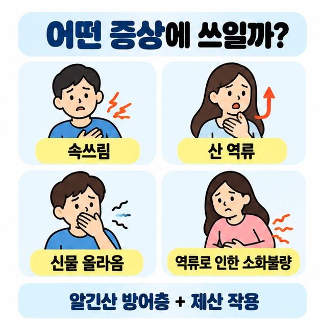 개비스콘이 속쓰림과 산 역류, 위 내용물의 역류로 인한 소화불량 증상에 쓰이며 알긴산 방어층과 제산 작용으로 도움을 주는 원리를 정리한 카드