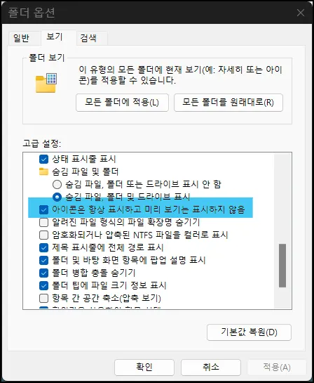 탐색기 옵션