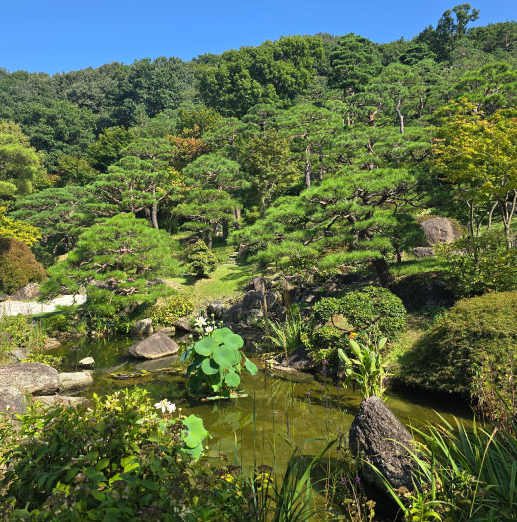 화담숲 모노레일 예약 예매