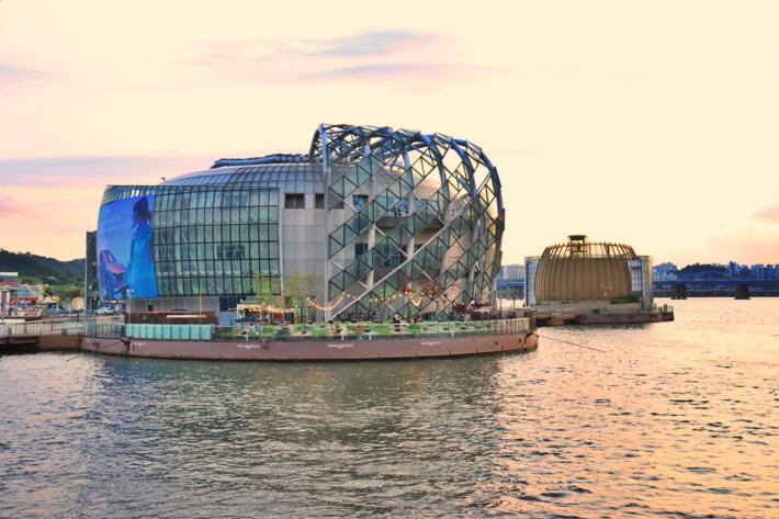 반려견과 함께 떠나는 서울 가을산책 단풍명소 추천 : 북서울꿈의숲·서울숲·반포한강공원