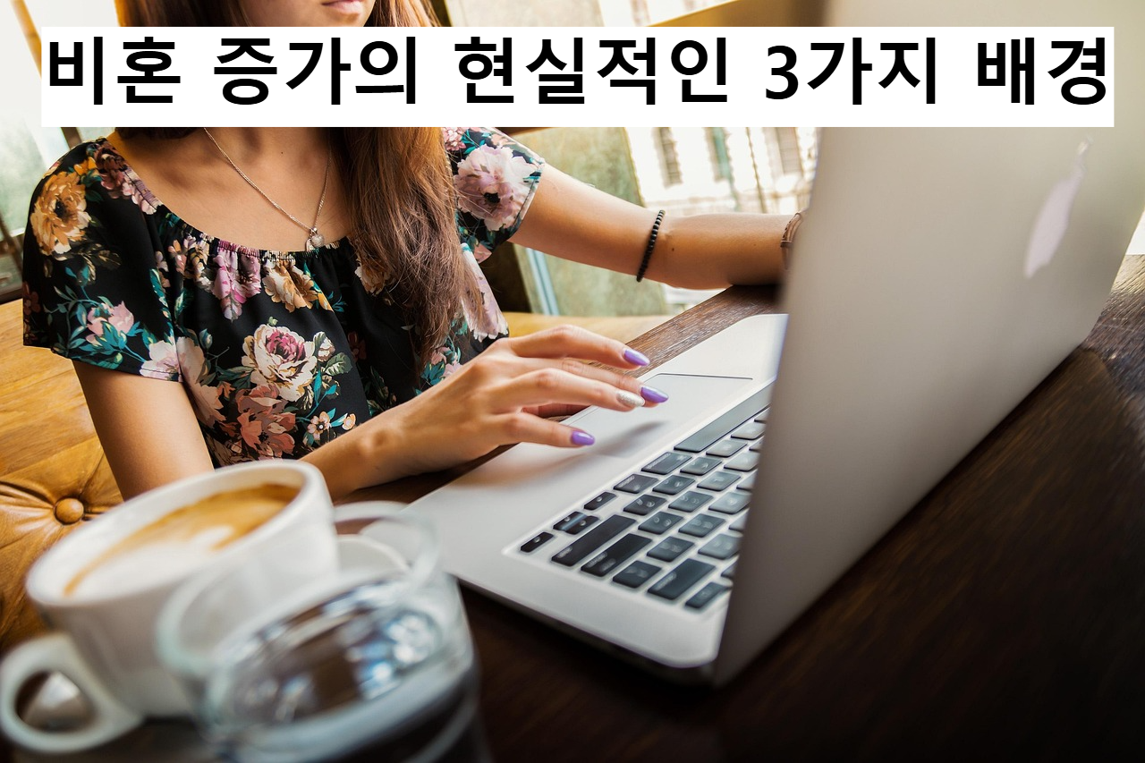 비혼 증가 3가지 배경
