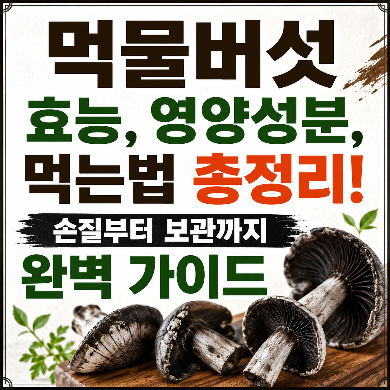 먹물버섯 효능