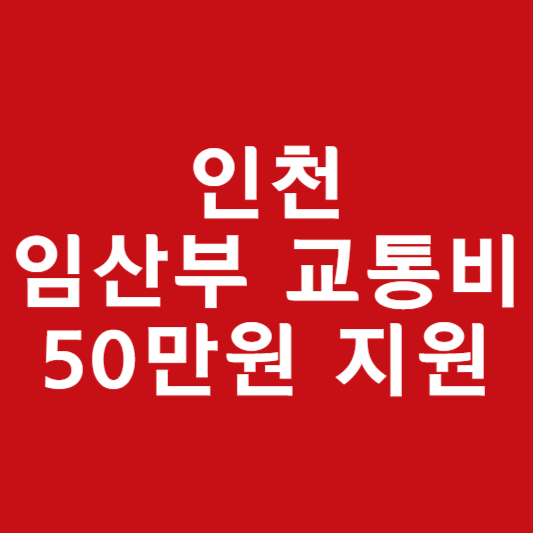 인천 임산부 교통비 지원