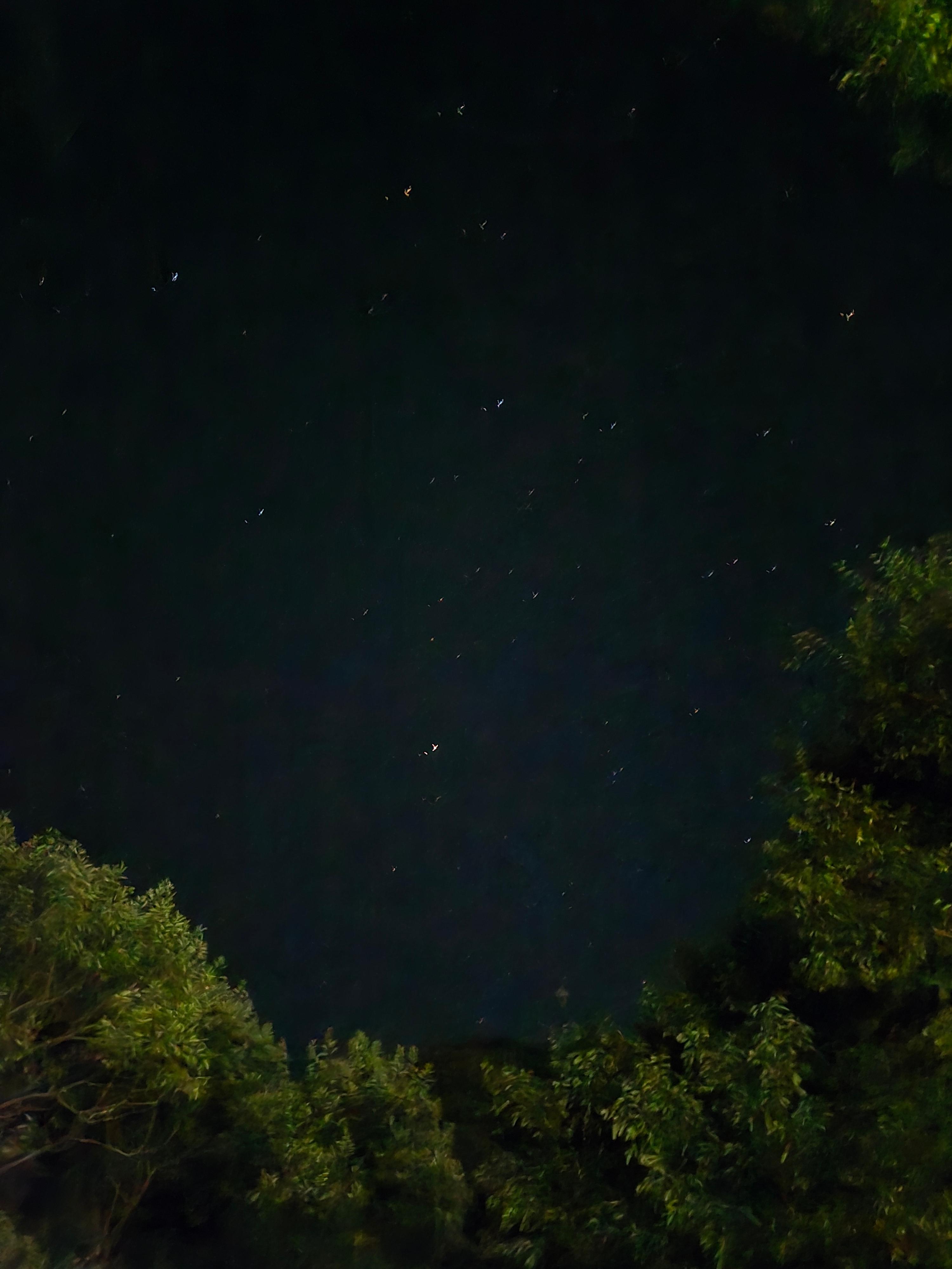 지리산 별구경
