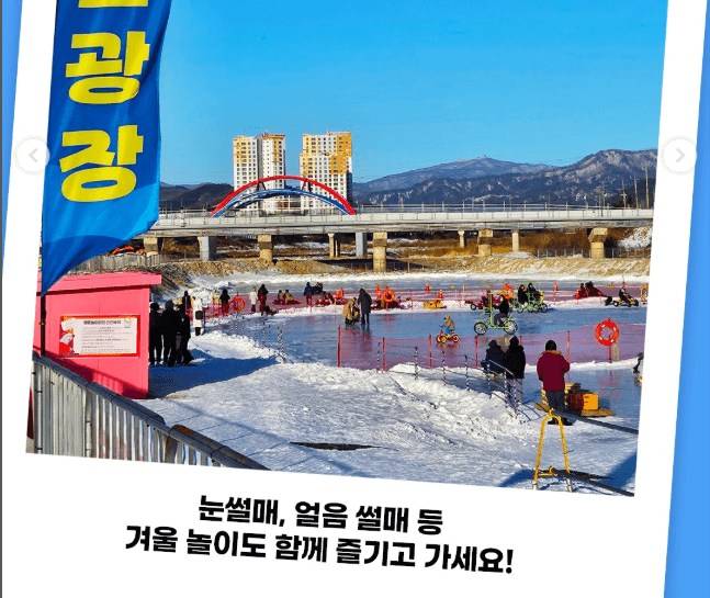 평창 송어 축제 즐기는 또 다른 방법