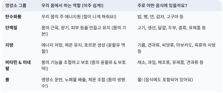 필수-영양소의-역할과-음식-종류