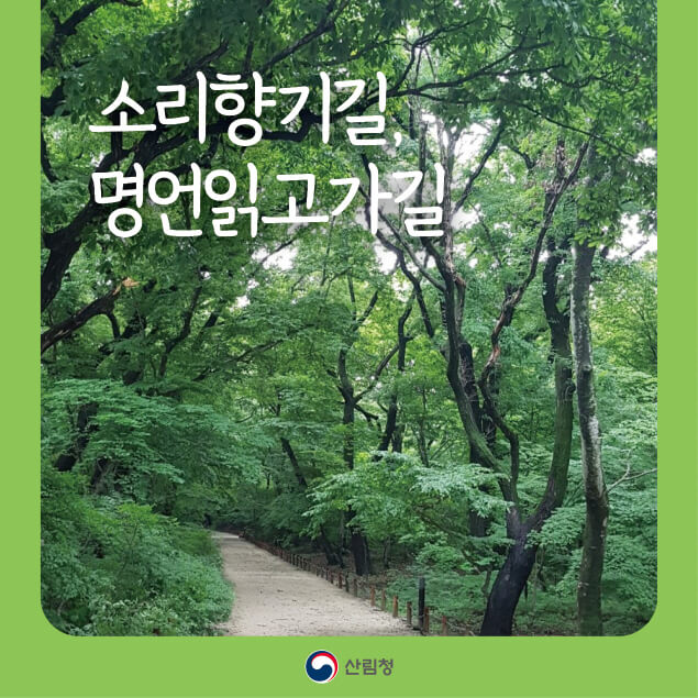 경기도 명품숲길 어디가 좋을까? 5대 대표 숲길 장단점 한눈에