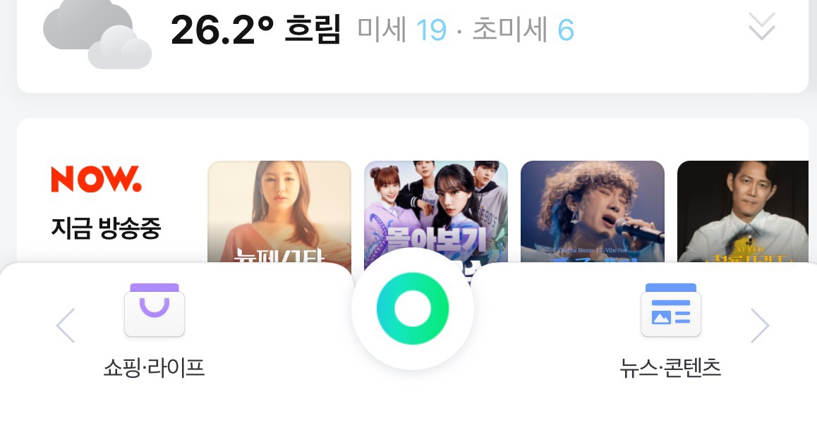 네이버 메인하단