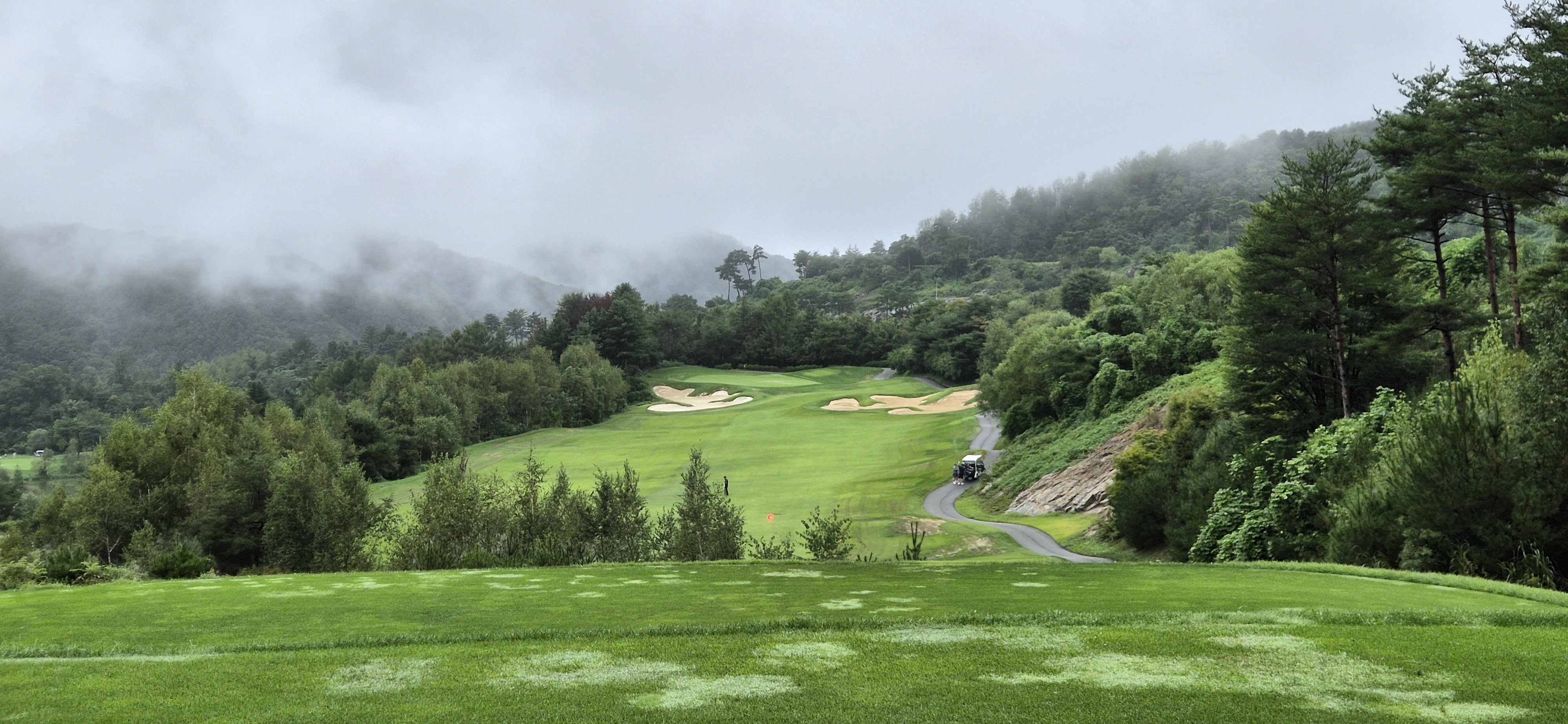 더플레이어스cc