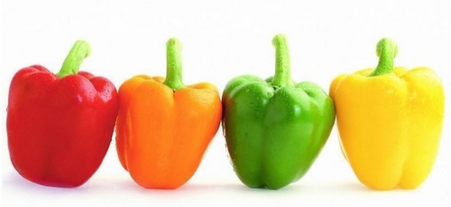 빨강, 주황, 초록, 노랑 색깔의 파프리카 사진