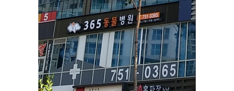 성남 수정구 동물병원