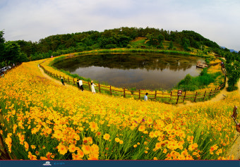 6시 내고향에 나온 함안 강변횟집&amp;#44; 정말 맛있을까?