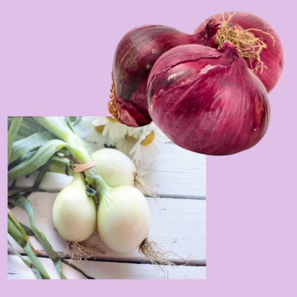 천식, 기침에 좋은 음식