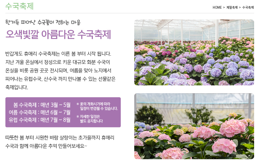 제주 휴애리 여름 수국축제 소개