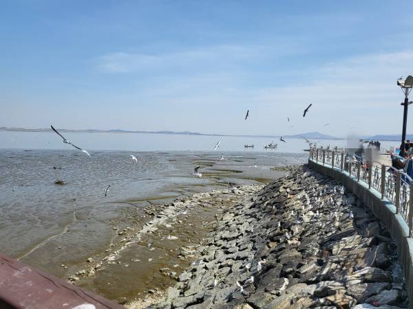 삽교호-바다공원2