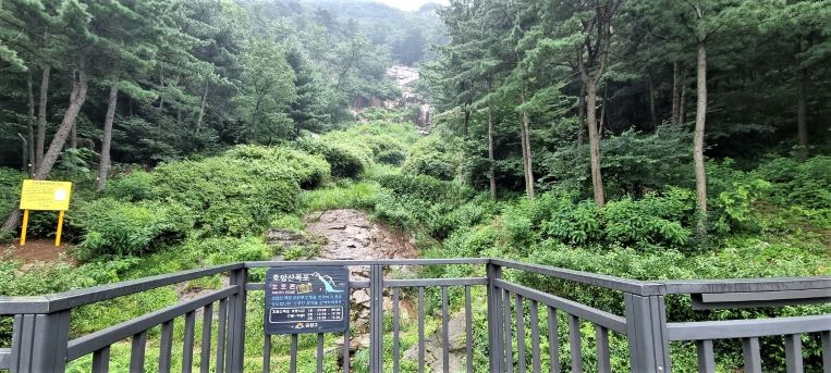 송림 숲속에 가려진 폭포, 폭포 전망대의 안전 난간,