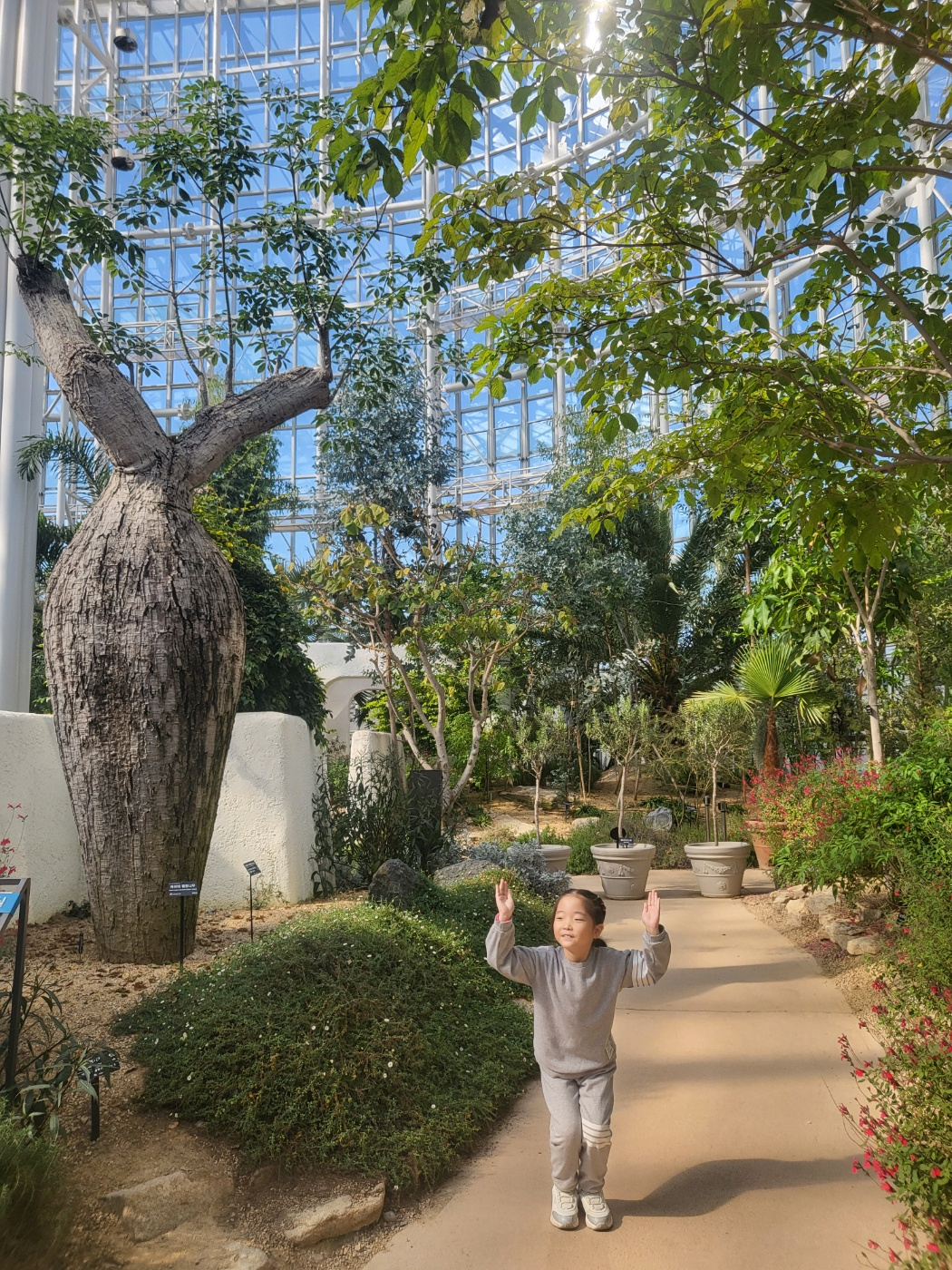 세종 아이와 가볼 만 한 곳 (세종수목원)