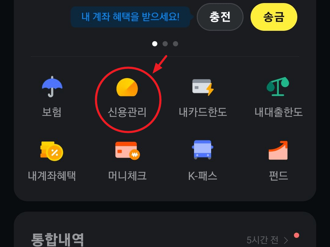 투자리딩방 이미지