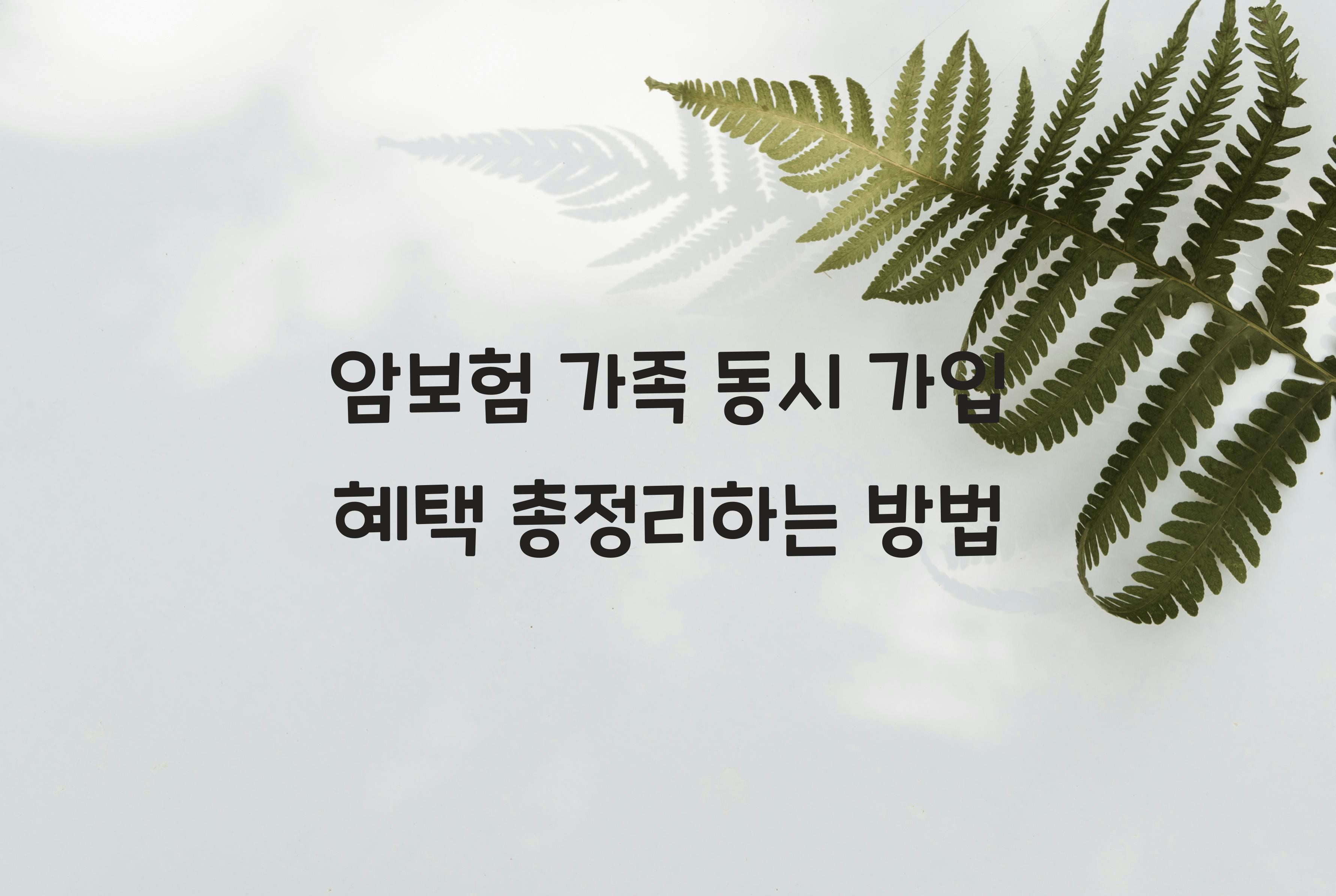 암보험 가족 동시 가입 혜택