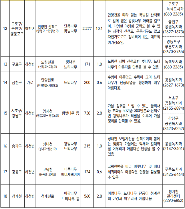 서울 단풍길 99선 소개