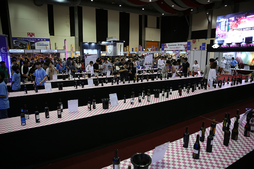 대전 국제와인 축제
