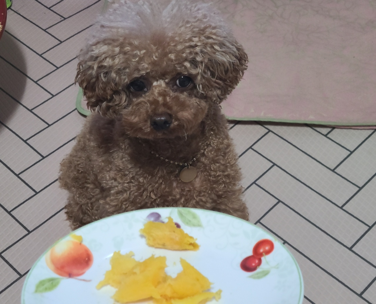 찐 고구마