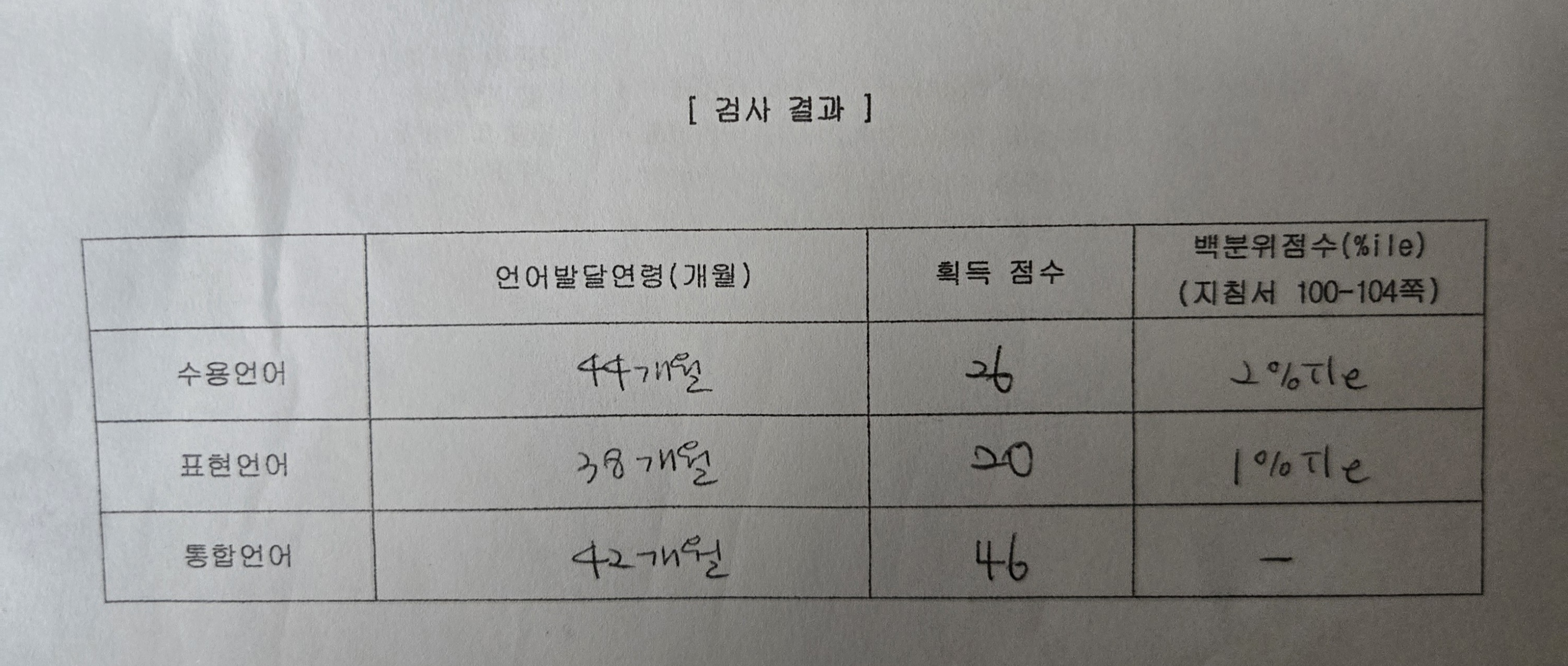언어검사 PRES검사지