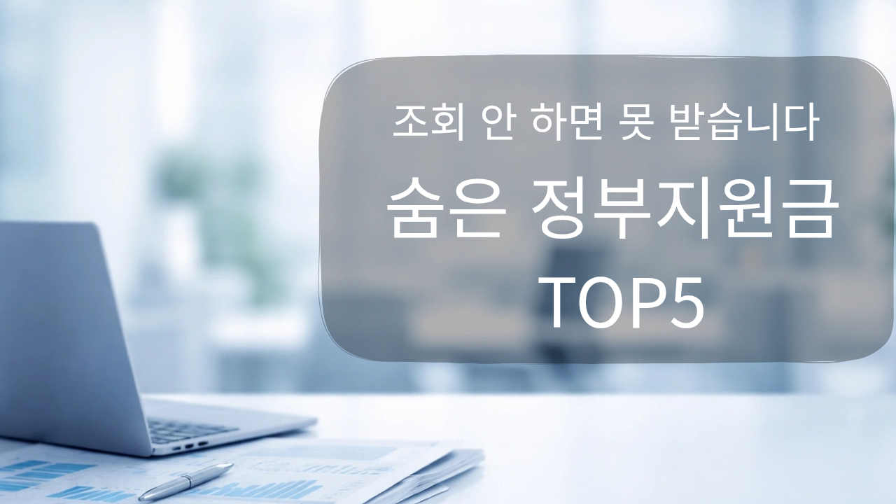 숨은 정부지원금 TOP5 안내 이미지, 조회 안 하면 못 받는 지원금 정보를 강조한 썸네일