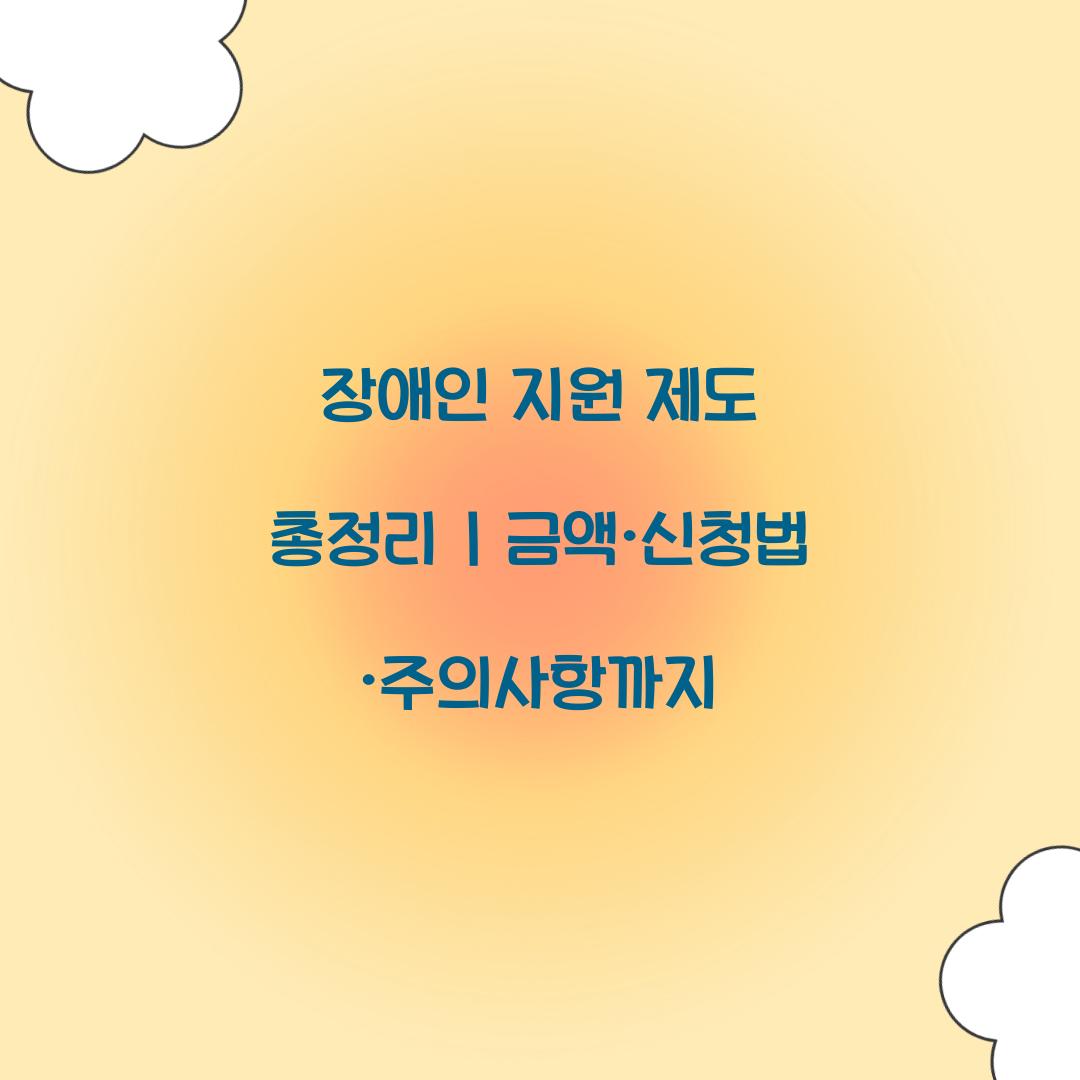 장애인 지원 제도