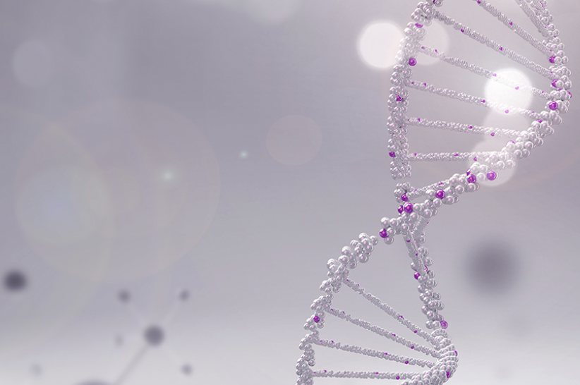 알지노믹스 이미지