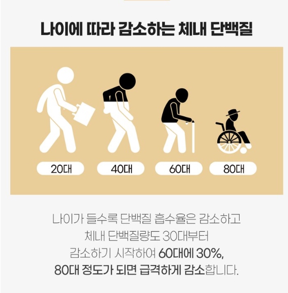 BSF 산양유 단백질